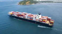 Bir kargo gemisi denizde ilerliyor