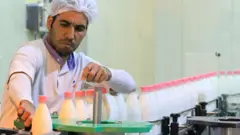 آفلاتوکسین
