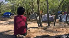 પ્રતીકાત્મક તસવીર