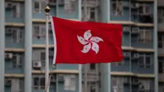 香港紫荊黨：親北京商人籌組新黨為確保「百年一國兩制」？