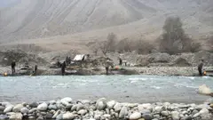 استخراج طلا در تخار