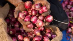 வெங்காயம்