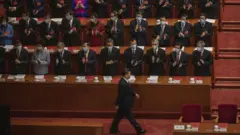 الرئيس الصيني شي جين بينغ