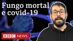 Vídeo
