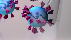 Corona vaccine
