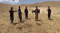 افغانستان کې د ملخانو بريد