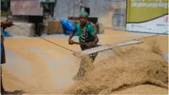 কৃষিখাত, করোনাভাইরাস, বাংলাদেশ।