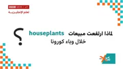 إكسترا إنجليش