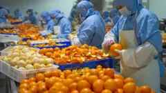 ቻይናውያን የፋብሪካ ሠራተኞች