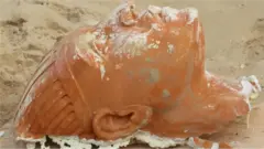 वाळूखाली पुरलेलं शहर