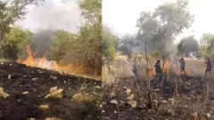 በሰሜን ኢትዮጵያ የቃፍታ-ሸራሮ ብሔራዊ ፓርክ በተከሰተው ሰደድ እሳት 1,500 ሄክታር ጫካ ጋይቷል