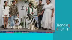 لماذا أثار زفاف كلبين غضب الإندونيسيين؟