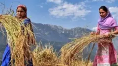 ਕਿਸਾਨ , ਖੇਤੀਬਾੜੀ