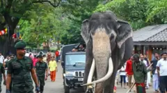 නැදුන්ගමුවේ රාජාට අවසන් ගෞරව දක්වන්න ජන ගඟක්