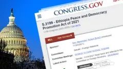 Gamoo Kaappitol fi Wixinee seeraa S3199