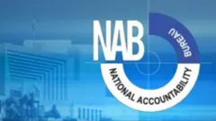 نیب لوگو