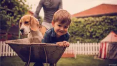 köpek ve çocuk