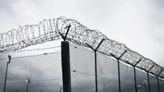 cezaevi dikenli telleri