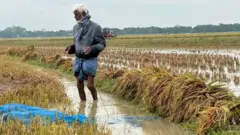 নেত্রকোনা ও মৌলভীবাজার এই দুইটি জেলার বন্যা পরিস্থিতির অবনতির আশঙ্কার কথা গত সপ্তাহ থেকে বলা হচ্ছে
