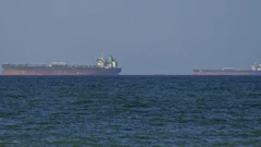 Two cargo ships upon the horizon, water in the foreground.