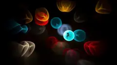 Aranha-tecelã capturada em um círculo de luz.