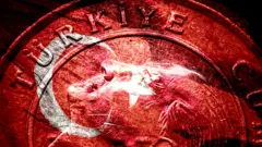 Türk Lirası