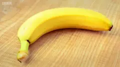 అరటి పండు