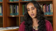 ረዳት ፕሮፌሰር ሜሮን ዘለቀ