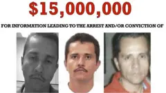 எல் மெஞ்சோ, மெக்சிகோ, அமெரிக்கா, பிரிட்டன், விமானங்கள் ரத்து