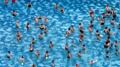 Swimming pool full of people