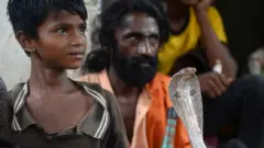 উত্তর প্রদেশে এলাহাবাদের ৪০ কিমি দক্ষিণপশ্চিমে কারপারি গ্রামে এক সাপুড়ের ছেলের হাতে কোবরা সাপ - ২৫শে জুলাই ২০১৭