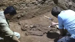 Excavation