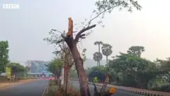 విశాఖ