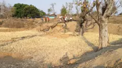 डोभा