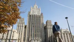 мзс рф