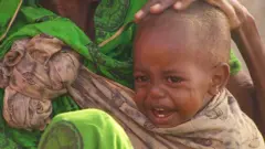 Yunwar ta tursasa mutum 750,000 barin muhallansu inda suka kutsa fadin ƙasar don neman abinci da ruwa da ƙasar noma.