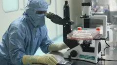 కరోనావైరస్ టీకా పరిశోధన