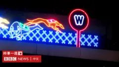 逸園賽狗場賠率報告欄上方的燈飾（BBC中文圖片23/6/2018）