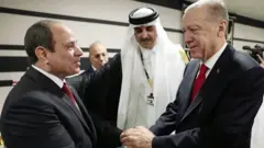 الرئيسان المصري والتركي