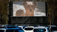 Автокинотеатр