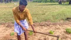இலங்கை