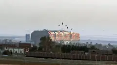 اورگیون