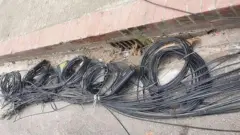 তার কেটে রাস্তায় ফেলে রাখা হয়েছে।