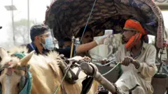 पर्सामा टाँगा चालकलाई ज्वरो जाँच