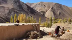سازمان روند توسعه انسانی را در افغانستان کند توصیف کرده است