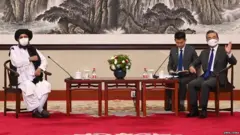 तालिबान