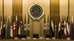 جامعة الدول العربية