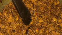 Agbụgbụ maọbụ fịọ fịọ