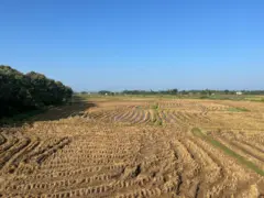 நெல் கொள்முதல் விவகாரம்