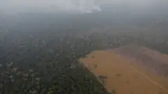 Fumaça se espalha em área de floresta perto de Porto Velho (RO), no meio da qual há um clarão desmatado